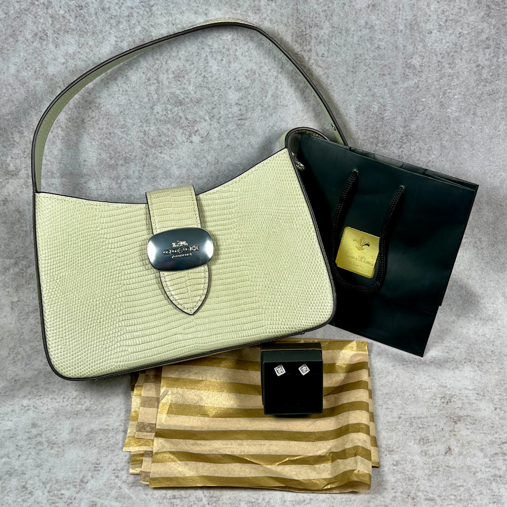 Springtime Chic: Coach Purse & Boutique Earrings